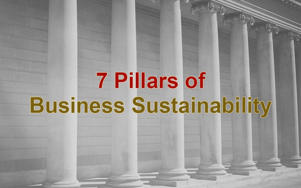 7 Pillars of Business Sustainability